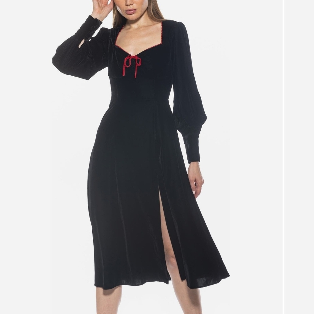 Alexia Admor Willa Velvet Dress